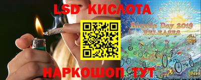 шишки Бузулук