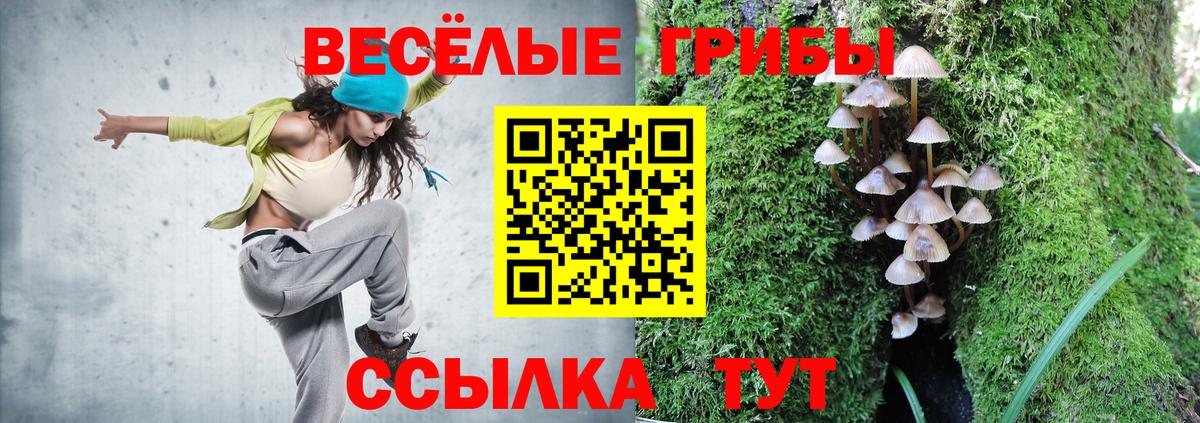 Псилоцибиновые грибы мухоморы Пушкино
