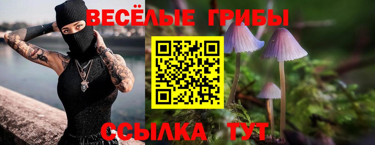 Пушкино  Галлюциногенные грибы MAGIC MUSHROOMS  хочу наркоту  Вход с VPN 